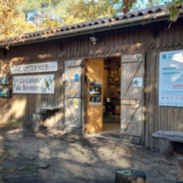 La cabane du Résinier